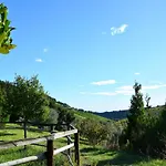 In Marche Near Adriatic Beaches *