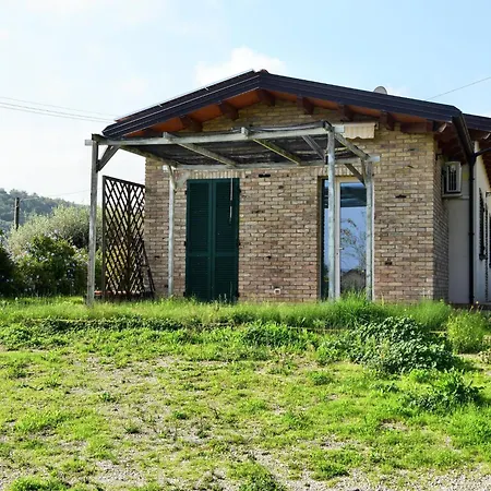 In Marche Near Adriatic Beaches *