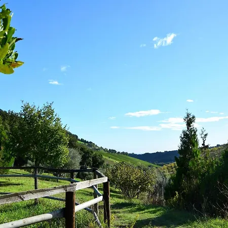 In Marche Near Adriatic Beaches *